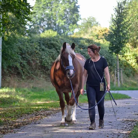 Hébergement de vacances De Ook Op Met Je Paard *