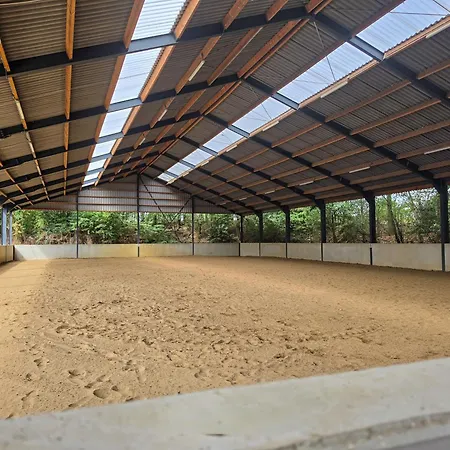 De Ook Op Met Je Paard * Melick