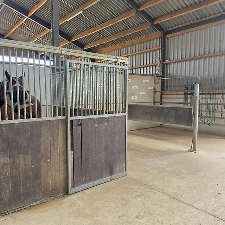 Hébergement de vacances De Ook Op Met Je Paard