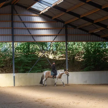 Hébergement de vacances De Ook Op Met Je Paard